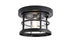 Elegant Lighting 1 Light Carla 8 inch Outdoor Flush Mount in Black in Black and Clear Finish Model: OD614F8BK