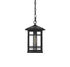 Elegant Lighting 1 Light Harley 12 inch Outdoor Pendant in Black in Black and Clear Finish Model: OD613H11BK