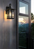 Elegant Lighting 1 Light Harley 12 inch Outdoor Wall sconce in Black in Black and Clear Finish Model: OD613W12BK