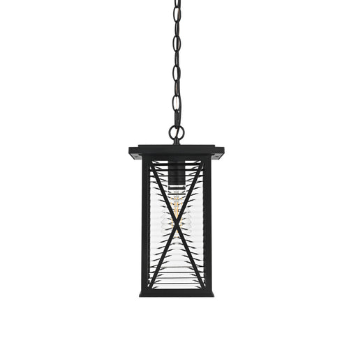 Elegant Lighting 1 Light Jada 14 inch Outdoor Pendant in Black in Black and Clear Finish Model: OD607H14BK