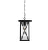Elegant Lighting 1 Light Jada 14 inch Outdoor Pendant in Black in Black and Clear Finish Model: OD607H14BK