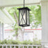 Elegant Lighting 1 Light Jada 14 inch Outdoor Pendant in Black in Black and Clear Finish Model: OD607H14BK
