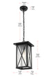 Elegant Lighting 1 Light Jada 14 inch Outdoor Pendant in Black in Black and Clear Finish Model: OD607H14BK