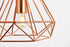 Elegant Lighting 1 Light Jago Collection Pendant D9.8 H9.8 Lt:1 in Copper Finish Model: LDPD2090