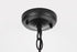 Elegant Lighting 1 Light Luz 21 inch Outdoor Pendant in Black in Black and Clear Finish Model: OD605H20BK