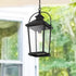 Elegant Lighting 1 Light Luz 21 inch Outdoor Pendant in Black in Black and Clear Finish Model: OD605H20BK