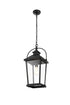 Elegant Lighting 1 Light Luz 21 inch Outdoor Pendant in Black in Black and Clear Finish Model: OD605H20BK