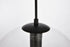 Elegant Lighting 1 Light Placido Collection Pendant D11.8 H11.4 Lt:1 in Black and Clear Finish Model: LDPD2114