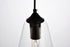 Elegant Lighting 1 Light Placido Collection Pendant D5.9 H14.2 Lt:1 in Black and Clear Finish Model: LDPD2119