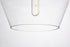 Elegant Lighting 1 Light Placido Collection Pendant D9.8 H9.3 Lt:1 in Black and Clear Finish Model: LDPD2118