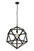 Elegant Lighting 1 Light Redmond Collection Pendant D19.7 H22.6 Lt:1 in Black Finish Model: LDPD2111