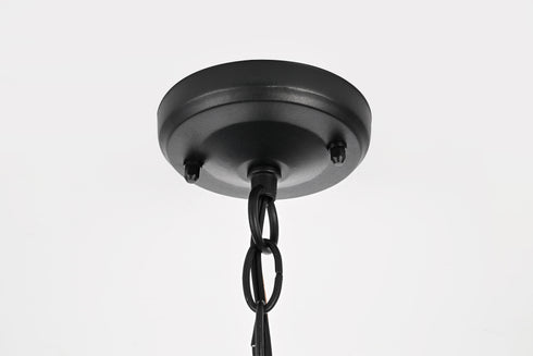 Elegant Lighting 1 Light Veda 13 inch Outdoor Pendant in Black in Black and Clear Finish Model: OD608H13BK
