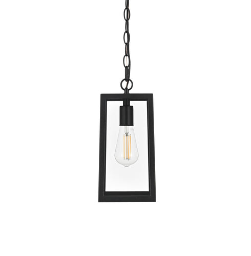 Elegant Lighting 1 Light Veda 13 inch Outdoor Pendant in Black in Black and Clear Finish Model: OD608H13BK