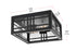 Elegant Lighting 2 Light Harley 11 inch Outdoor Flush Mount in Black in Black and Clear Finish Model: OD613F5BK