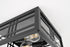 Elegant Lighting 2 Light Harley 11 inch Outdoor Flush Mount in Black in Black and Clear Finish Model: OD613F5BK