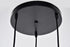 Elegant Lighting 3 Light Nora Collection Pendant D14.5 Inch H11.5 Inch Lt:3 in Black finish Model: LDPD2000