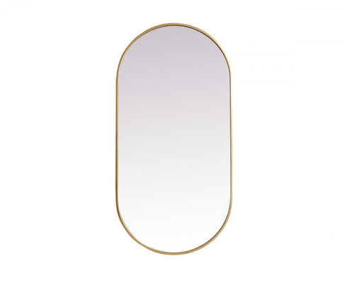 Elegant Lighting Asha Metal Frame Oval Mirror 30x72 Inch in Black Model: MR2A3072BLK