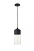 Elegant Lighting Ashwell 1 Light Black Pendant With Clear Glass in Black and Clear Finish Model: LD2240BK