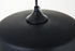 Elegant Lighting Ashwell 1 Light Black Pendant With Clear Glass in Black and Clear Finish Model: LD2243BK