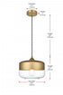 Elegant Lighting Ashwell 10 inch Pendant Clear Shade in Satin Gold in Satin Gold and Clear Finish Model: LD2243SG