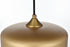 Elegant Lighting Ashwell 10 inch Pendant Clear Shade in Satin Gold in Satin Gold and Clear Finish Model: LD2243SG