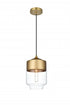 Elegant Lighting Ashwell 7 inch Pendant Clear Shade in Satin Gold in Satin Gold and Clear Finish Model: LD2241SG