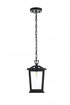 Elegant Lighting Berks 7 inch Outdoor Pendant in Black Model: OD333H12BK