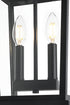 Elegant Lighting Berks 7 inch Outdoor Pendant in Black Model: OD333H15BK