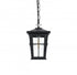 Elegant Lighting Bodine 7 inch Outdoor Pendant in Black Model: OD337H11BK