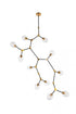 Elegant Lighting Cavoli 11 light in Light Antique Brass and Flat Black Pendant Model: 1712G73LAB