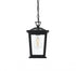 Elegant Lighting Cayman 7 inch Outdoor Pendant in Black Model: OD332H12BK