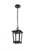 Elegant Lighting Cayman 7 inch Outdoor Pendant in Black Model: OD332H12BK