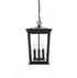 Elegant Lighting Cayman 7 inch Outdoor Pendant in Black Model: OD332H16BK