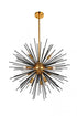 Elegant Lighting Daegan 10 light 26 inch light antique brass pendant in Light Antique Brass and Flat Black Finish Model: LD5023
