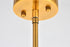 Elegant Lighting Daegan 10 light 26 inch light antique brass pendant in Light Antique Brass and Flat Black Finish Model: LD5023