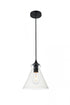 Elegant Lighting Destry 1 Light Black Pendant With Clear Glass in Black and Clear Finish Model: LD2244BK