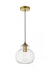 Elegant Lighting Destry 1 Light Black Pendant With Clear Glass in Black and Clear Finish Model: LD2245BK