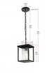 Elegant Lighting Dover 7 inch Outdoor Pendant in Black Model: OD302H11BK