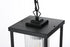Elegant Lighting Dover 7 inch Outdoor Pendant in Black Model: OD302H11BK