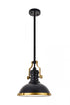 Elegant Lighting Eamon 1 Light matte black Pendant Model: LD5001D13BRB