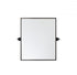 Elegant Lighting Everly Oval Pivot Mirror 21x32 Inch in Black Model: MR6C2132BLK