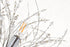 Elegant Lighting Flores 8 light Chrome Pendant in Chrome and Clear Finish Model: LD5052D20C