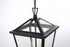 Elegant Lighting Frankford 7 inch Outdoor Pendant in Black Model: OD334H19BK