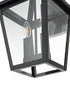 Elegant Lighting Frankford 7 inch Outdoor Pendant in Black Model: OD334W18BK
