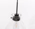 Elegant Lighting Frey 3 light in Black and Clear glass pendant Model: LD5030D42BK