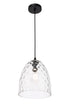 Elegant Lighting Gibson 1 light in Black and Clear glass pendant Model: LD2284