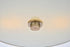 Elegant Lighting Hazen 2 light 12 inch Vintage Silver flush mount in Vintage Silver and White Finish Model: LD6023