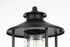 Elegant Lighting Janney 7 inch Outdoor Pendant in Black Model: OD314P17BK