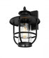 Elegant Lighting Janney 7 inch Outdoor Pendant in Black Model: OD314W13BK