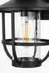 Elegant Lighting Janney 7 inch Outdoor Pendant in Black Model: OD314W13BK